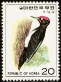 Colnect-2194-499-White-bellied-Woodpecker-Dryocopus-javensis.jpg