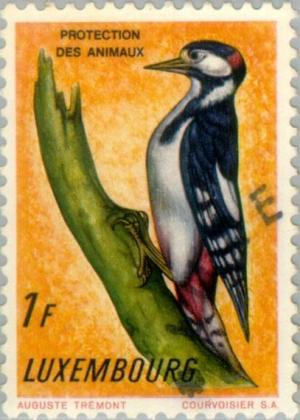 Colnect-133-988-Great-Spotted-Woodpecker-Dendrocopos-major.jpg