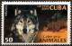 Colnect-4365-729-Wolf-Canis-lupus.jpg