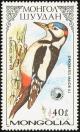 Colnect-860-447-Great-Spotted-Woodpecker-Dendrocopos-major.jpg