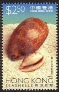 Colnect-1893-632-Cowrie-Monetaria-sp.jpg