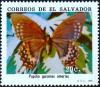 Colnect-2271-728-Magnificent-Swallowtail-Papilio-garamas-ssp-amerias.jpg