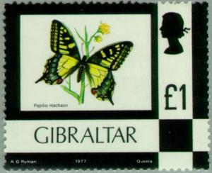 Colnect-120-283-Swallowtail-Papilio-machaon.jpg