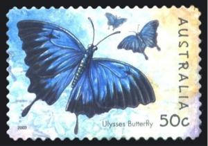 Colnect-1475-795-Mountain-Swallowtail-Papilio-ulysses-ssp-joesa.jpg