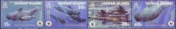 Colnect-1776-858-WWF-Whales-strip.jpg