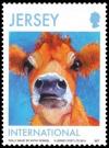 Colnect-1725-523-Jersey-Cow-Bos-primigenius-taurus.jpg