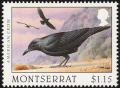 Colnect-1785-049-American-Crow-nbsp-Corvus-brachyrhynchos.jpg
