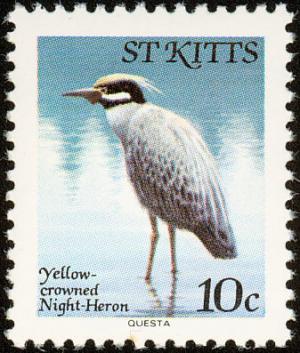 Colnect-1659-308-Yellow-crowned-Night-Heron.jpg