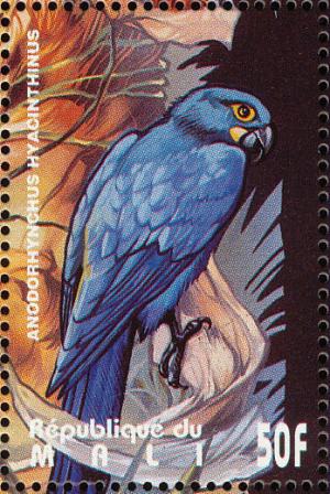 Colnect-2375-998-Hyazinth-Macaw-Anodorhynchus-hyacinthinus.jpg