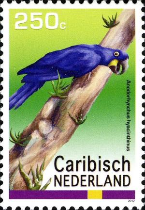 Colnect-2507-884-Hyacinth-Macaw-Anodorhynchus-hyacinthinus.jpg