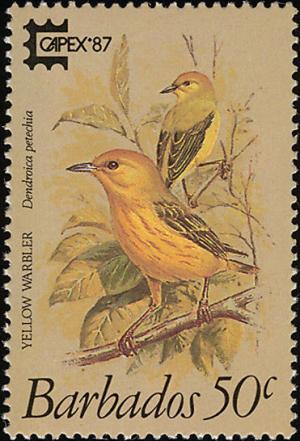Colnect-863-981-American-Yellow-Warbler-Dendroica-petechia.jpg