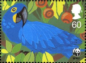 Colnect-911-040-Hyazinth-Macaw-Anodorhynchus-hyacinthinus.jpg