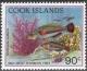 Colnect-1920-529-Redspot-Rainbow-Fish-Stethojulis-axillaris-.jpg