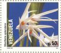 Colnect-1770-859-Maxillaria-splendens.jpg
