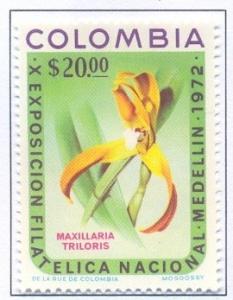 Colnect-2496-394-Maxillaria-triloris.jpg