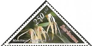 Colnect-2272-445-Maxillaria-Splendens.jpg