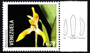 Colnect-2995-968-Maxillaria-triloris.jpg