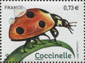Colnect-5182-783-Ladybug-Coccinella-sp.jpg