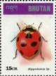 Colnect-3381-435-Ladybird-Hippodamia-sp.jpg