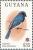 Colnect-1664-227-African-Blue-Flycatcher-Erannornis-longicauda.jpg
