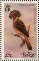 Colnect-1594-229-Northern-Royal-Flycatcher-Onychorhynchus-mexicanus.jpg