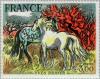 Colnect-145-196-Yves-Brayer-Horses-of-Camargue.jpg