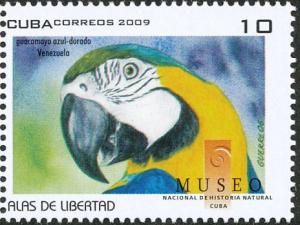 Colnect-1790-653-Blue-and-yellow-Macaw-Ara-ararauna.jpg