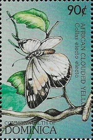 Colnect-6005-977-African-Clouded-Yellow-Colias-electo-aurivillius.jpg