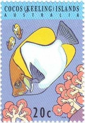 Colnect-1538-544-Pyramid-Butterflyfish-Hemitaurichthys-polylepis.jpg
