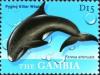 Colnect-6233-649-Pygmy-killer-whale.jpg