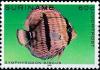 Colnect-3596-542-Symphysodon-discus.jpg