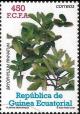 Colnect-3425-250-Bryophyllum-pinnatum.jpg
