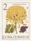 Colnect-1084-660-Chrysanthemum-hortorum.jpg