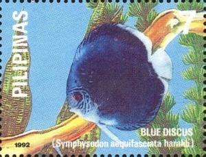 Colnect-5376-427-Blue-Discus-Symphysodon-aequifasciata-ssp-haraldi.jpg