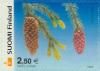Colnect-160-644-Norway-Spruce-Picea-abies.jpg