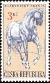 Colnect-430-659-Black-Kladruby-Horse-Equus-ferus-caballus.jpg