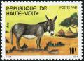 Colnect-2244-841-Donkey-Equus-asinus-asinus.jpg