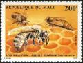 Colnect-2273-540-Honey-Bee-Apis-mellifica.jpg