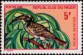 Colnect-998-017-African-Grey-Hornbill-Tockus-nasutus.jpg
