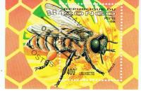 Colnect-2682-054-Honey-Bee-Apis-mellifica.jpg
