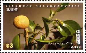 Colnect-1824-702-Biodiversity---Sinopora-hongkongensis.jpg