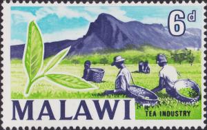 Colnect-1938-706-Country-Views--Tea-industry.jpg