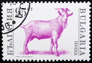 Colnect-1982-141-Billy-Goat-Capra-hircus.jpg
