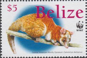 Colnect-2185-914-Derby--s-Wooly-Opossum-Caluromys-derbianus.jpg