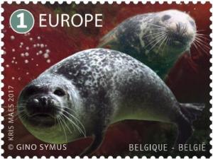 Colnect-4274-758-Grey-and-harbour-seal.jpg