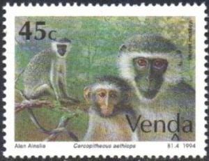 Colnect-5101-303-Vervet-Monkey-Cercopithecus-pygerythrus.jpg