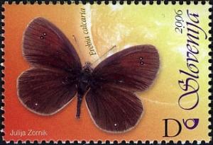Colnect-710-459-Fauna---Butterfly---Lorkovic--s-Brassy-Ringlet.jpg