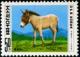 Colnect-1676-566-Donkey-Equus-asinus-asinus.jpg