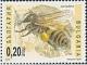 Colnect-1832-723-Honey-bee-Apis-mellifera.jpg