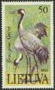 Colnect-348-513-Gray-Crane-Grus-grus.jpg